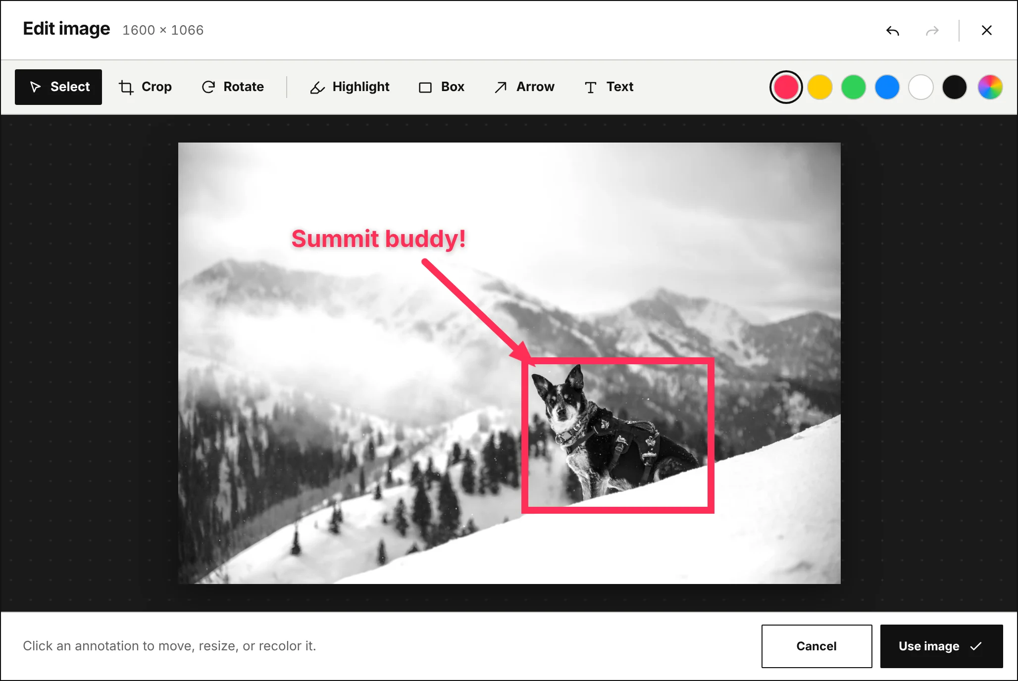 Crossposter's image editor: a black-and-white photo of a dog on a snowy mountain ridge, boxed in pink with an arrow and the label “Summit buddy!”, with tools for select, crop, rotate, highlight, box, arrow, and text, and six color swatches.